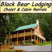 Black Bear Lodging